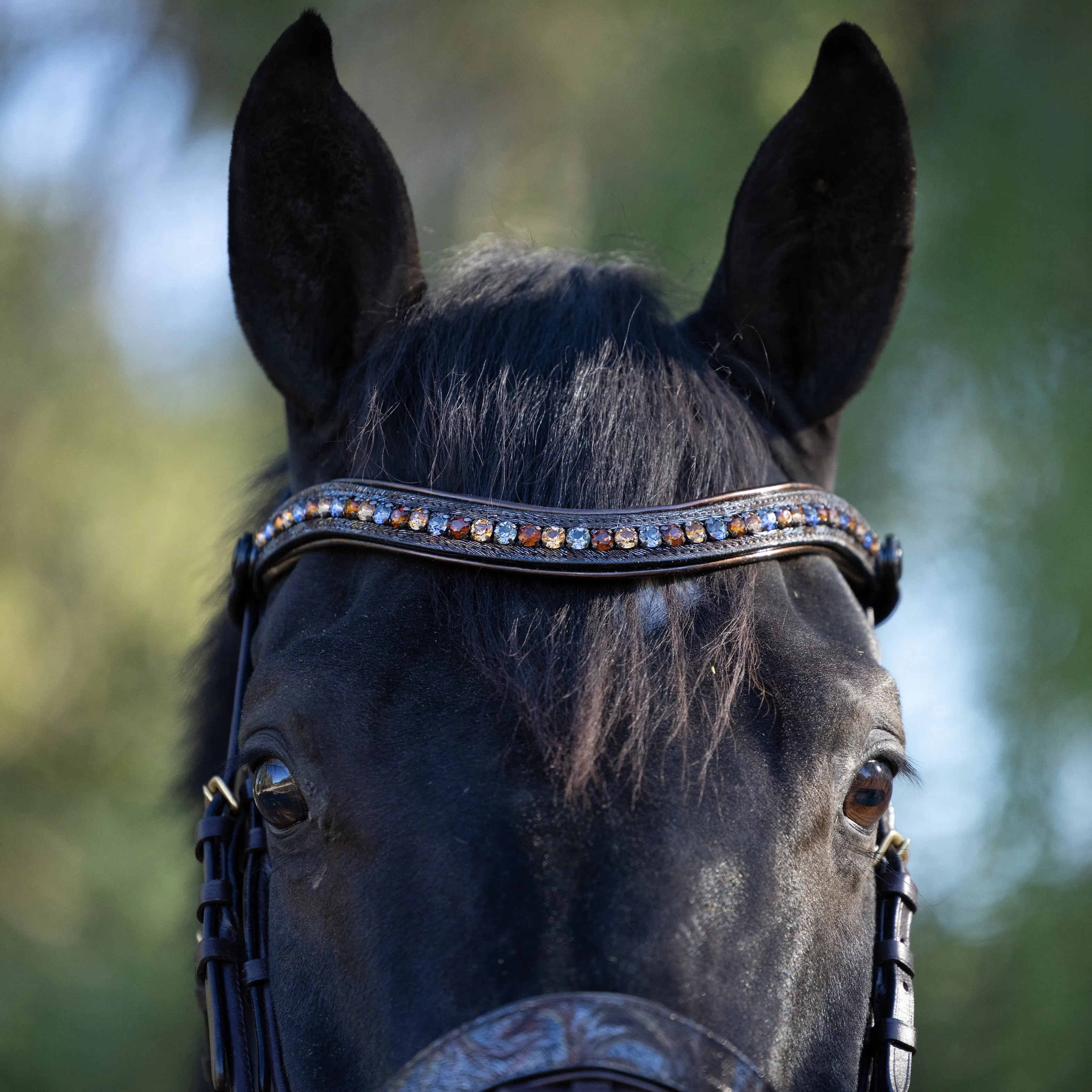 Aspen Leather Snaffle Bridle with Removable Flash