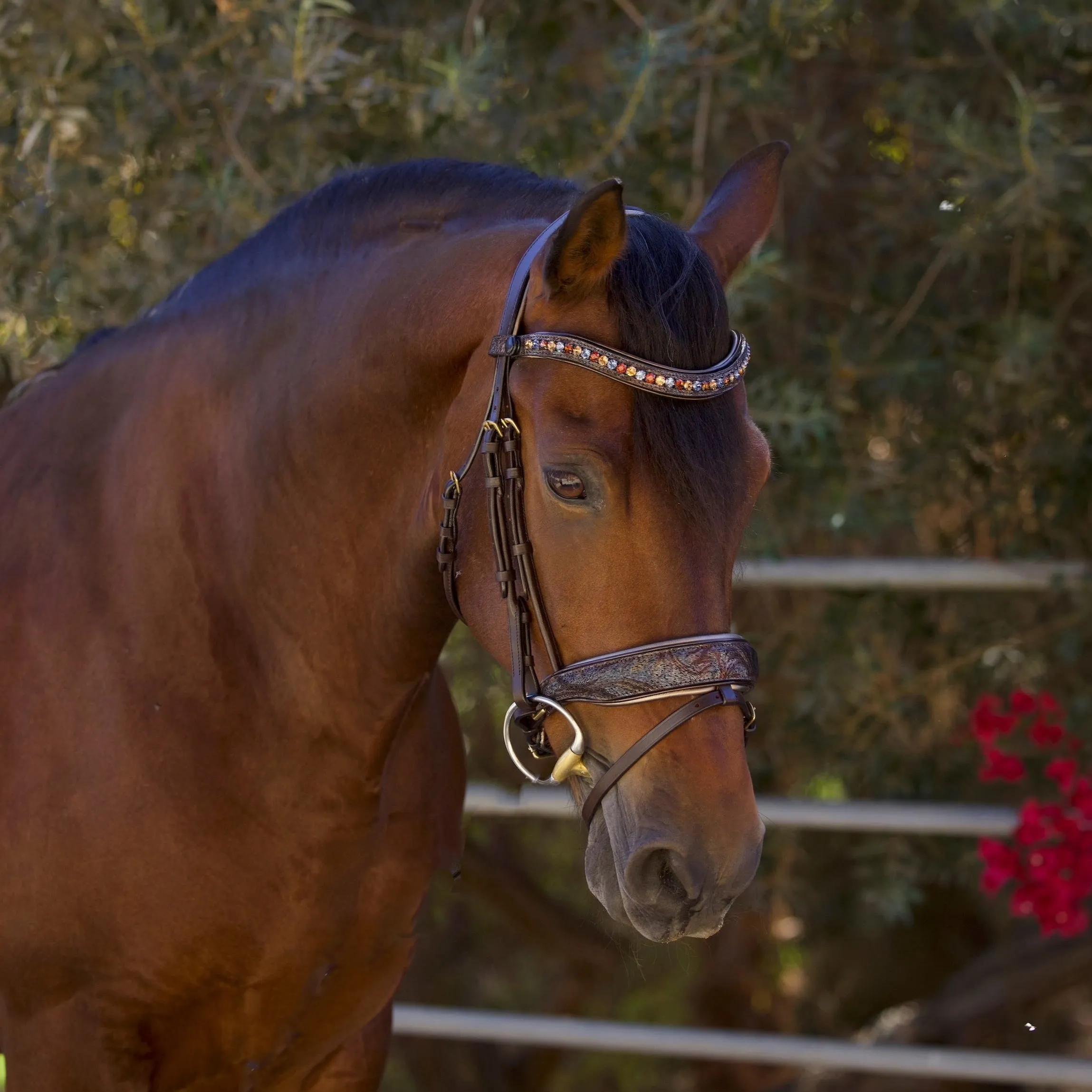 Aspen Leather Snaffle Bridle with Removable Flash