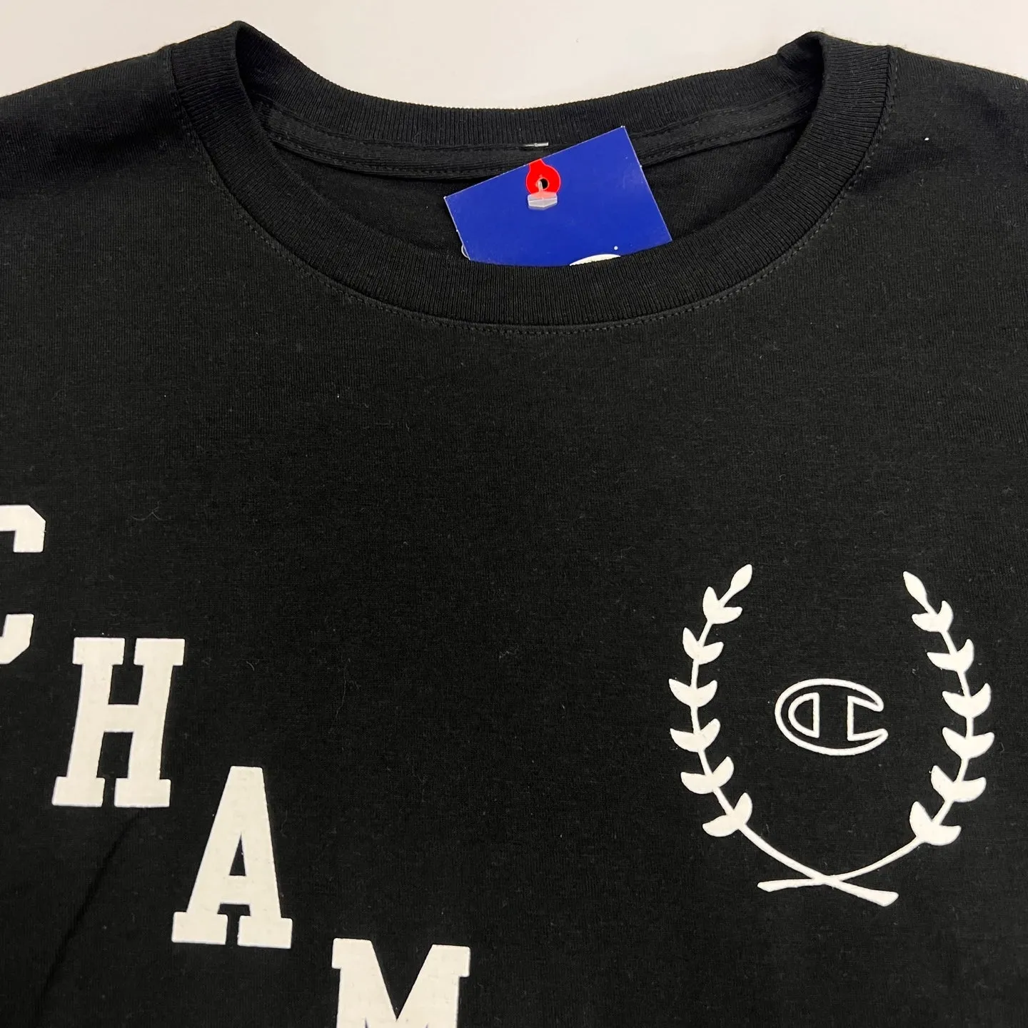 Champion Graphic Print T-Shirt