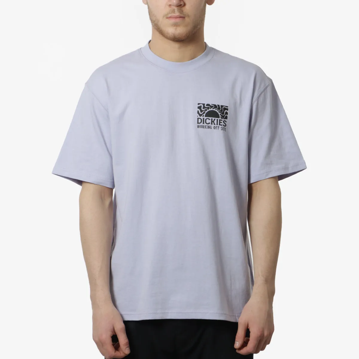 Dickies Saltville T-Shirt