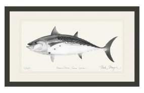 False Albacore III Print (b&w)