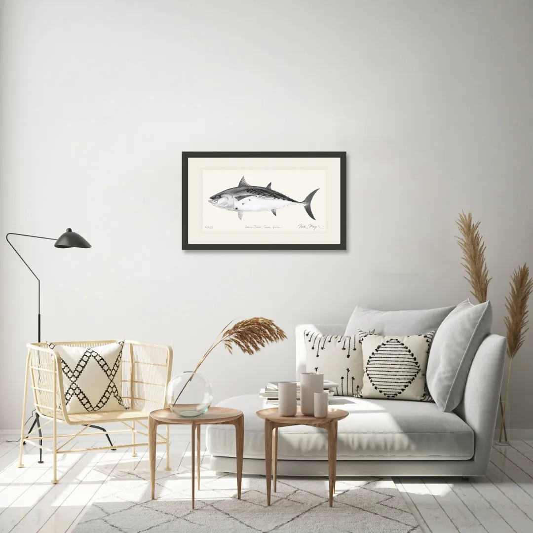 False Albacore III Print (b&w)