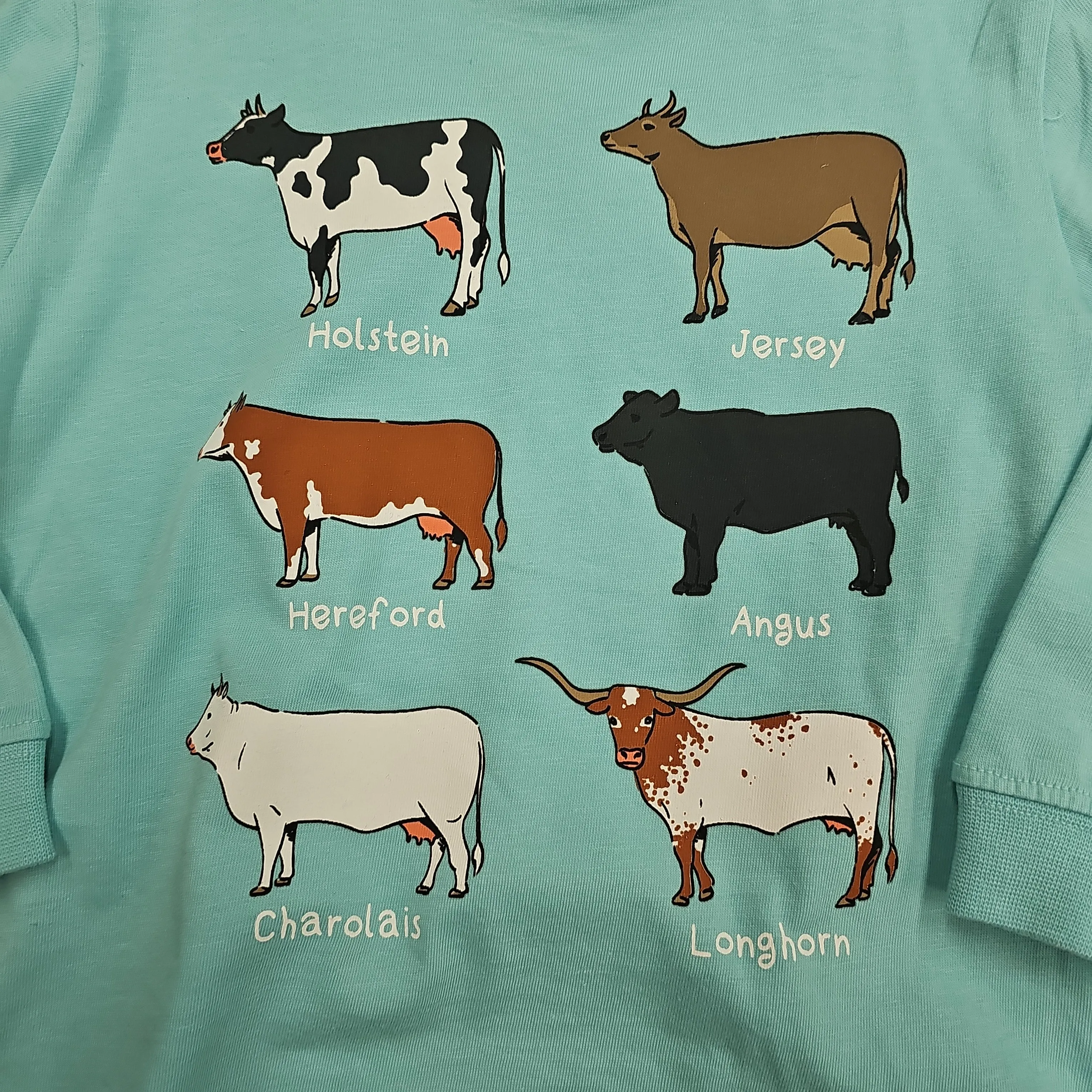 JOHN DEERE BOYS COW BREEDS LONG SLEEVE AQUA LP83531