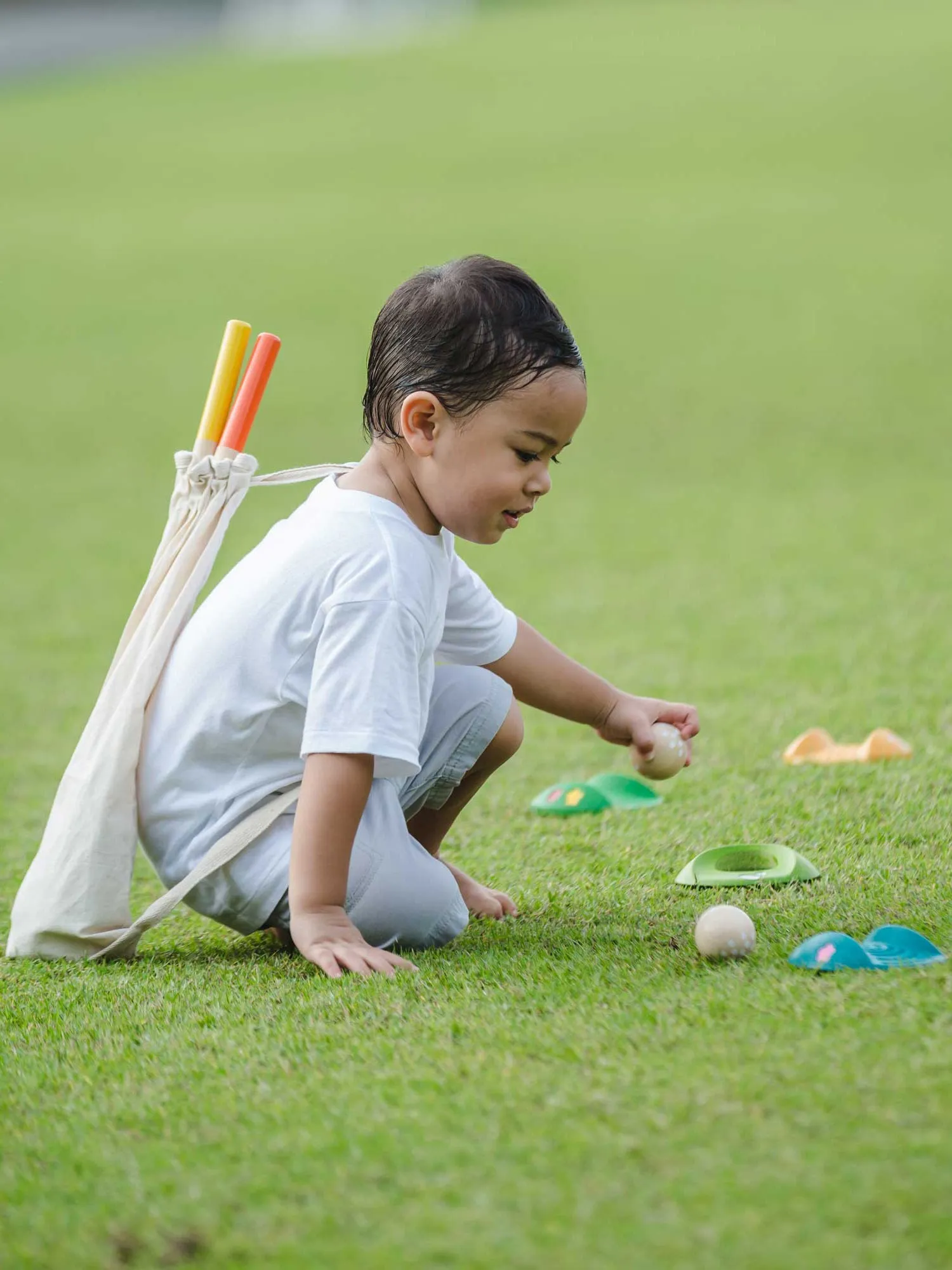 Mini Golf Set