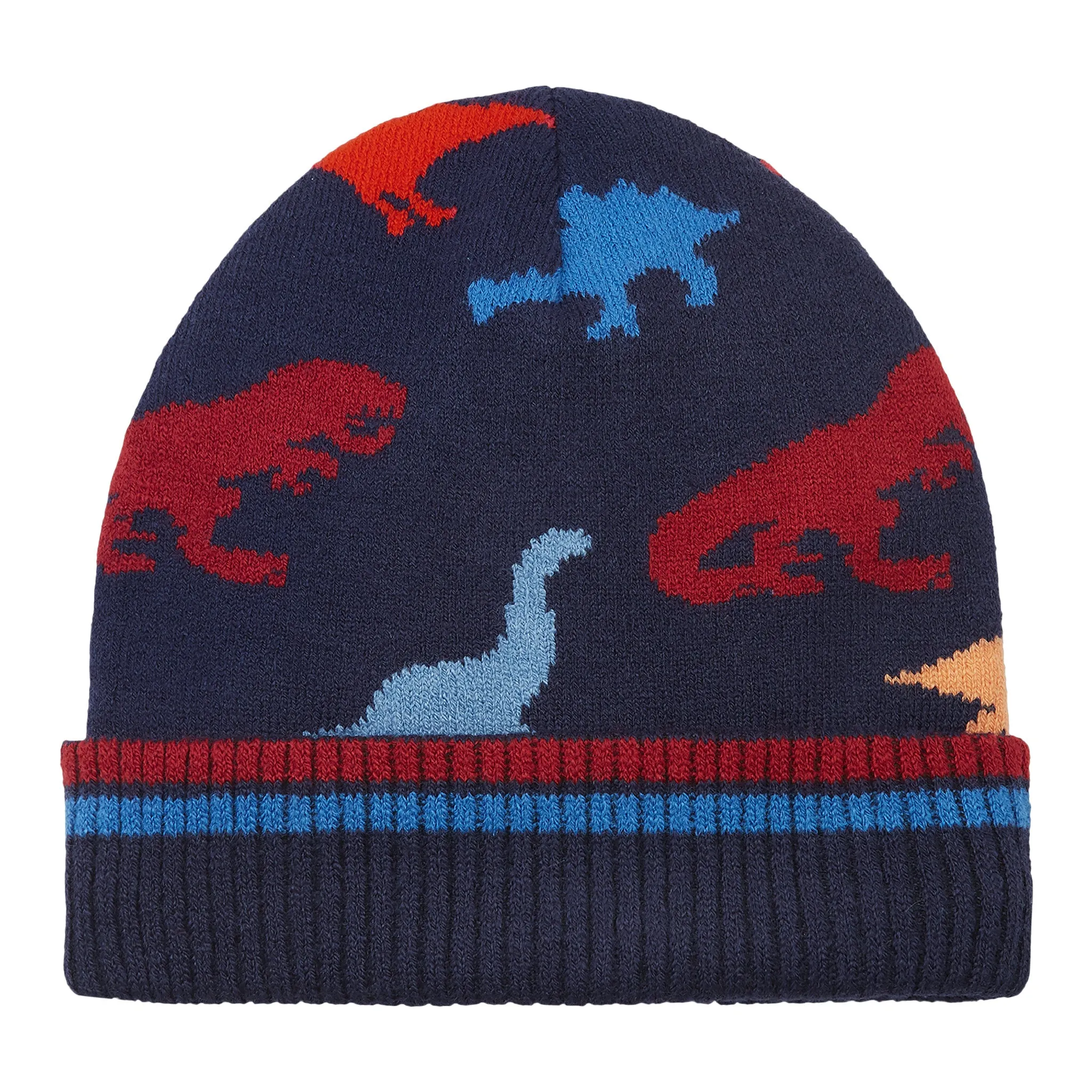 Navy Dino Hat & Gloves Set